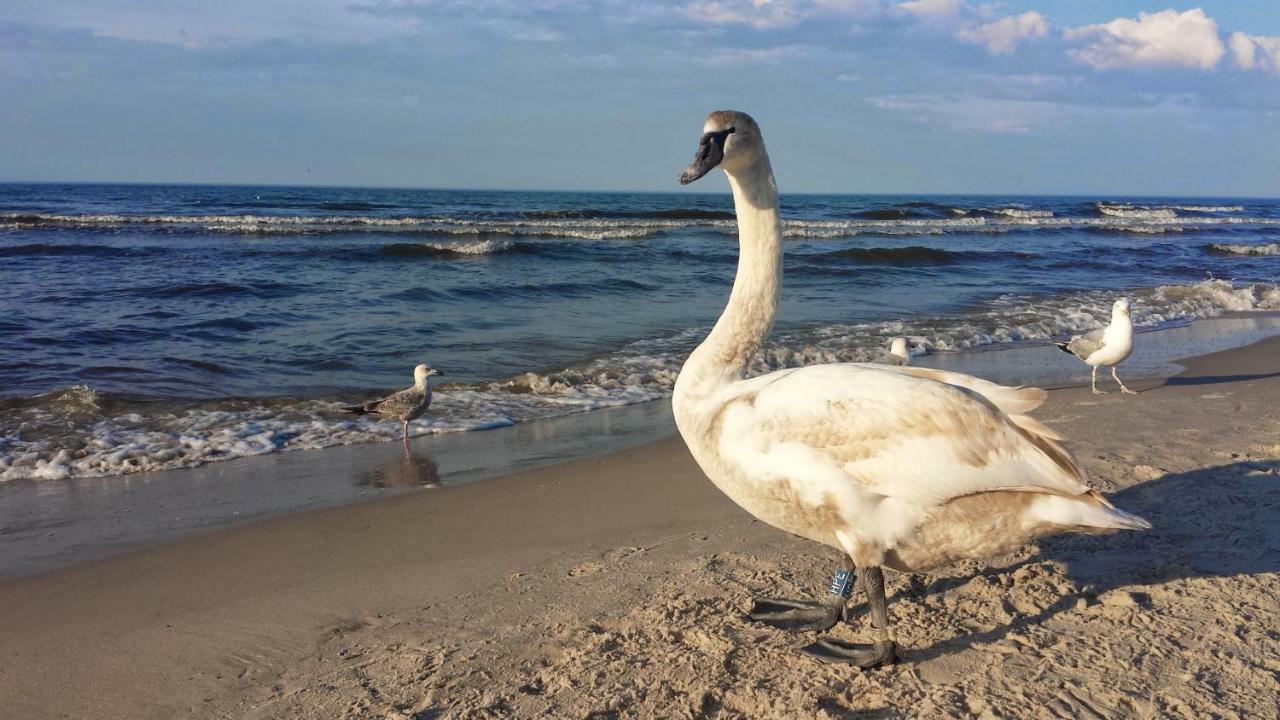 MAUSTYLE Osiedle Polanki Daire Kolobrzeg Dış mekan fotoğraf